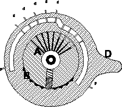 Figura 7